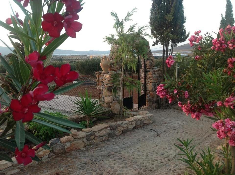 Olivares Rural Los Albaricoques Exterior photo