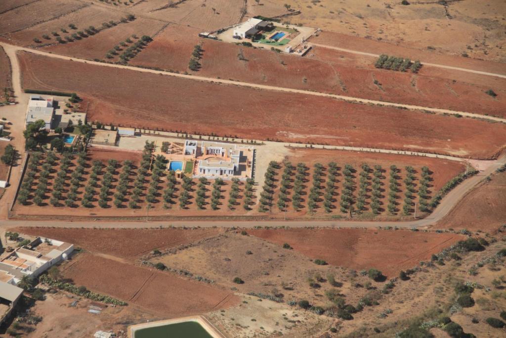Olivares Rural Los Albaricoques Exterior photo